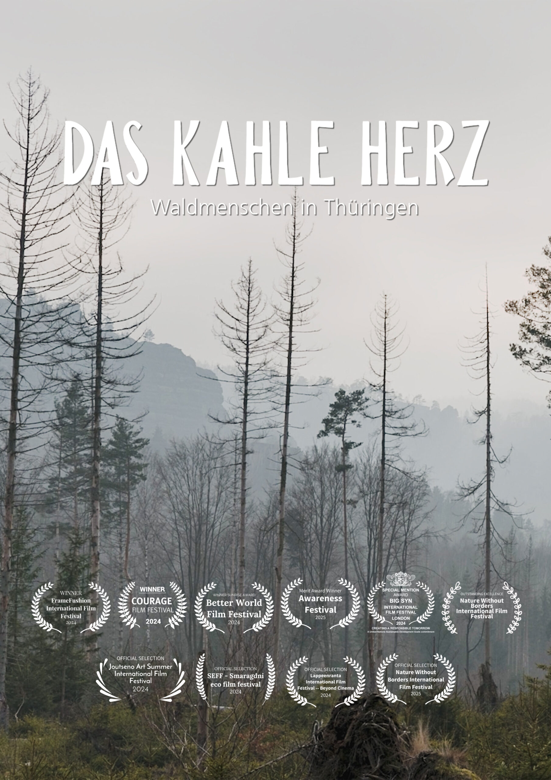Filmplakat "Das kahle Herz"
